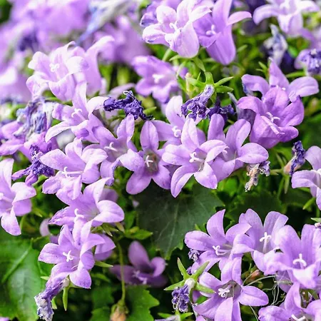 Stacja Wola - Mini Ogródek&hamak, Smart Tv I Wi-fi, Gumińska 1, 29m2